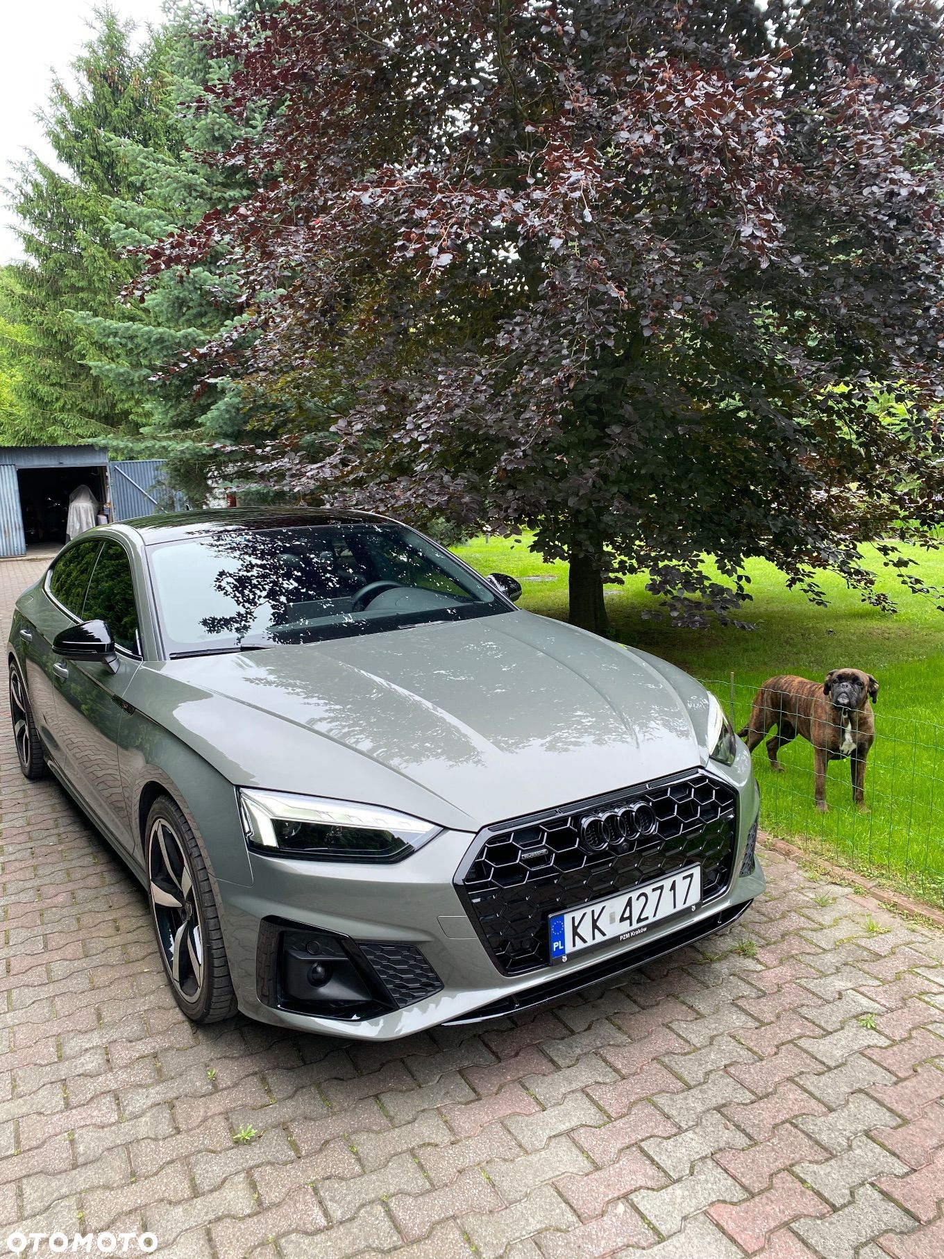Audi A5 Sportback 45 TFSI quattro S tronic - 1