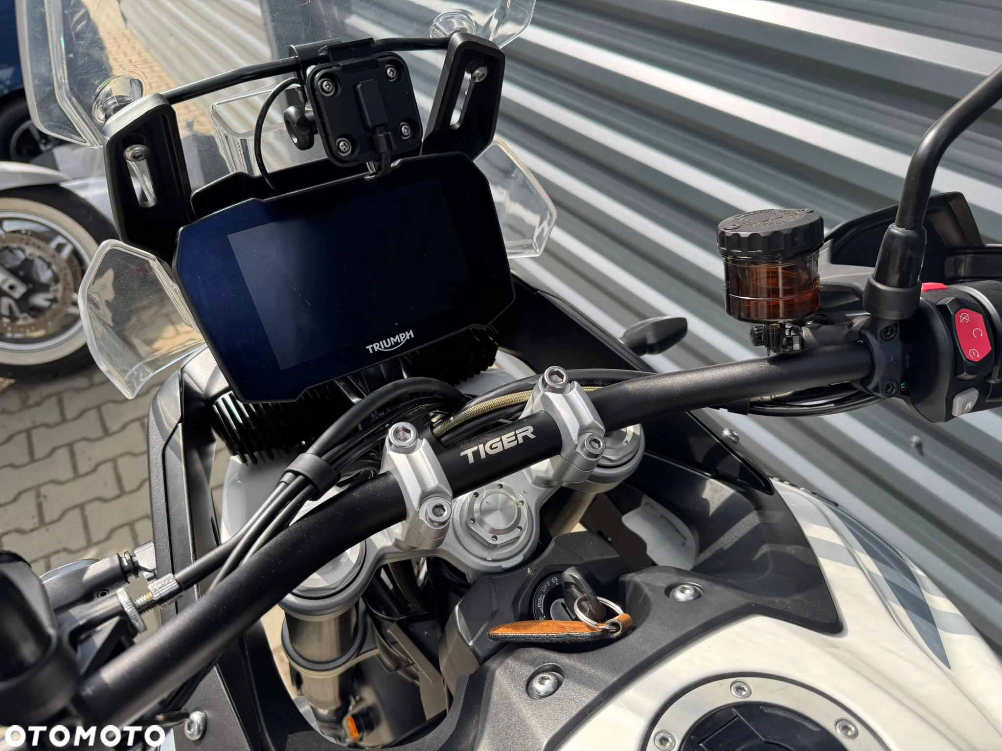 Triumph Tiger - 11
