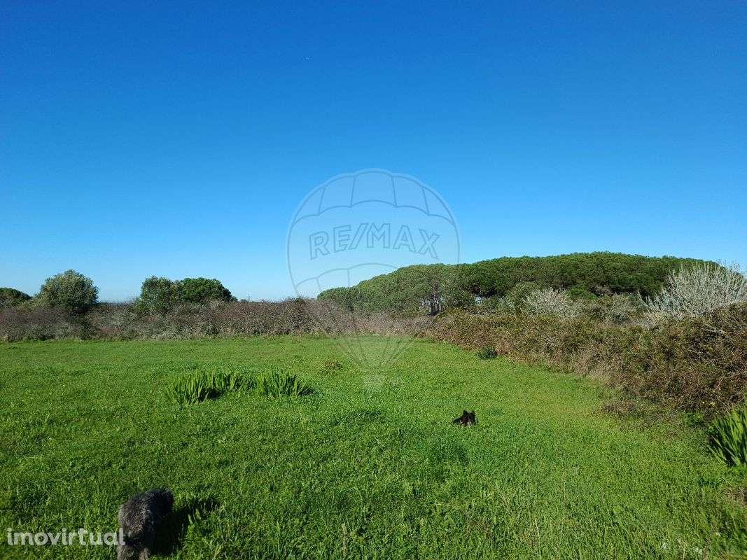 Terreno  para arrendamento - Grande imagem: 3/5