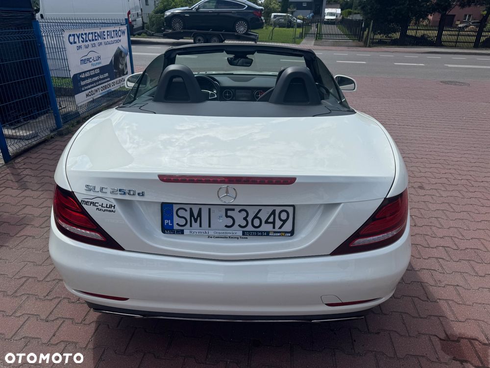 Mercedes-Benz SLK 250 CDI BlueEff - 19