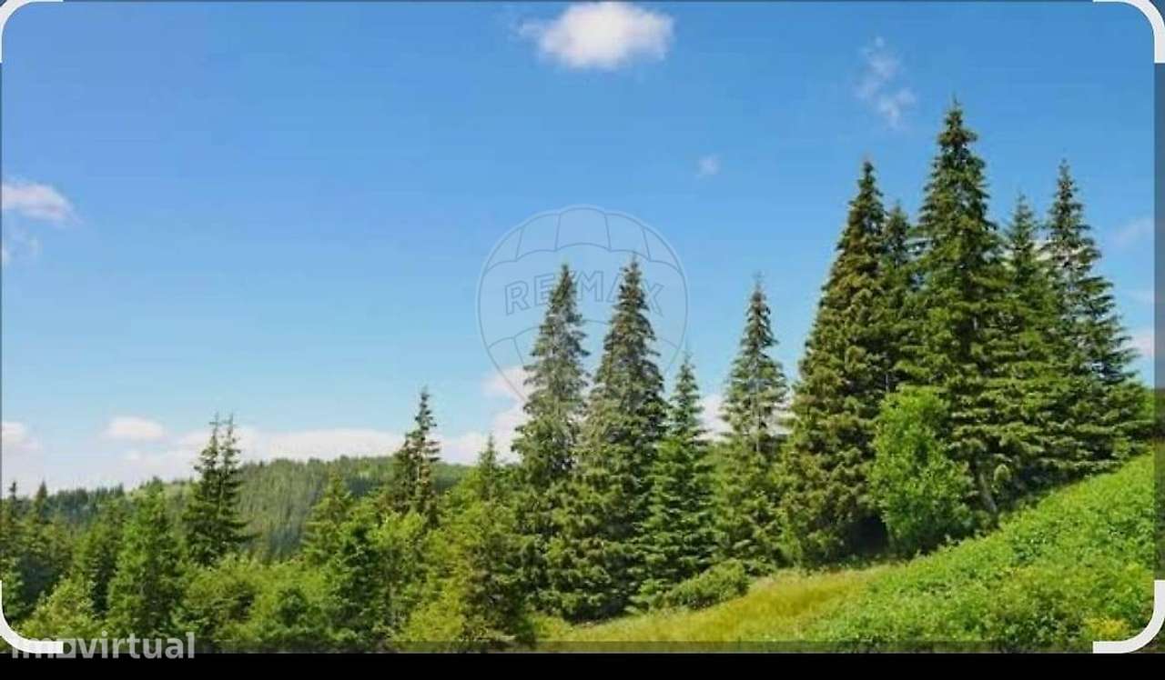Terreno  para venda - Grande imagem: 3/3