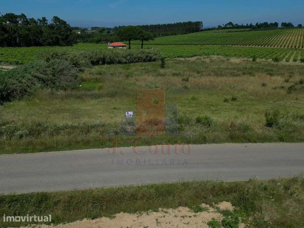 Terreno Rústico para Agricultura - Grande imagem: 4/9