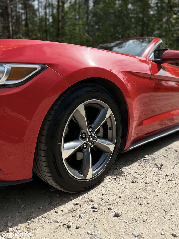 Ford Mustang 3.7 V6 - 18