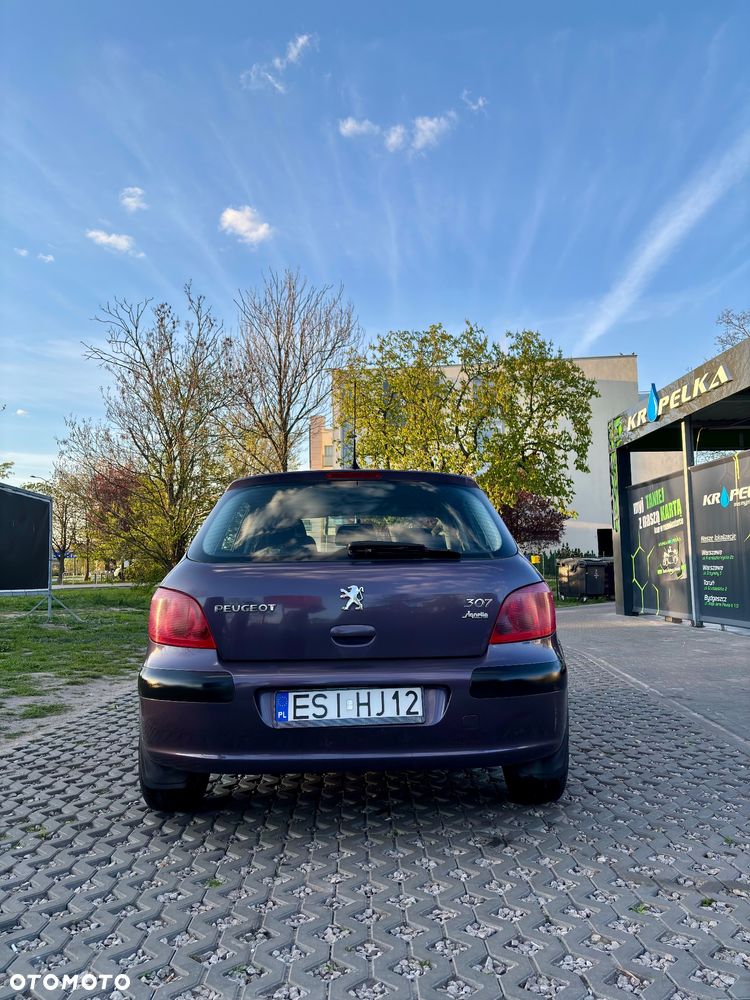 Peugeot 307 1.4 XS - 5