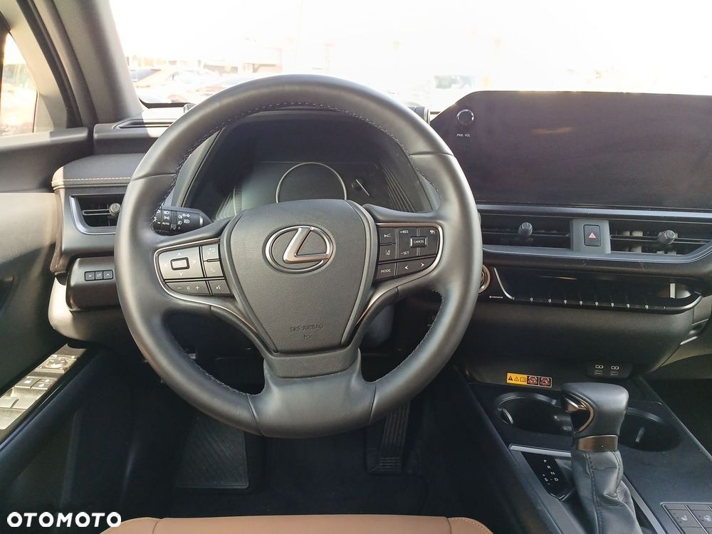 Lexus UX 250h GPF F Sport Design 2WD - 12