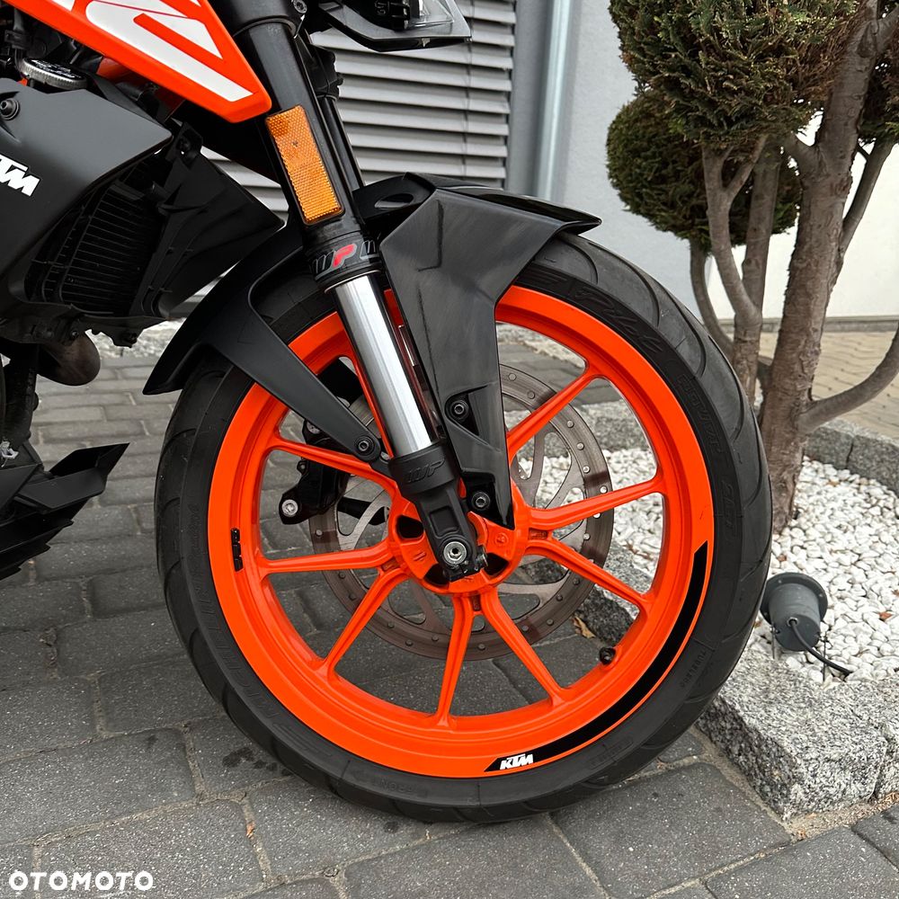KTM Duke - 7