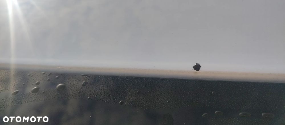 Ford Focus 1.5 EcoBlue Trend Edition - 13