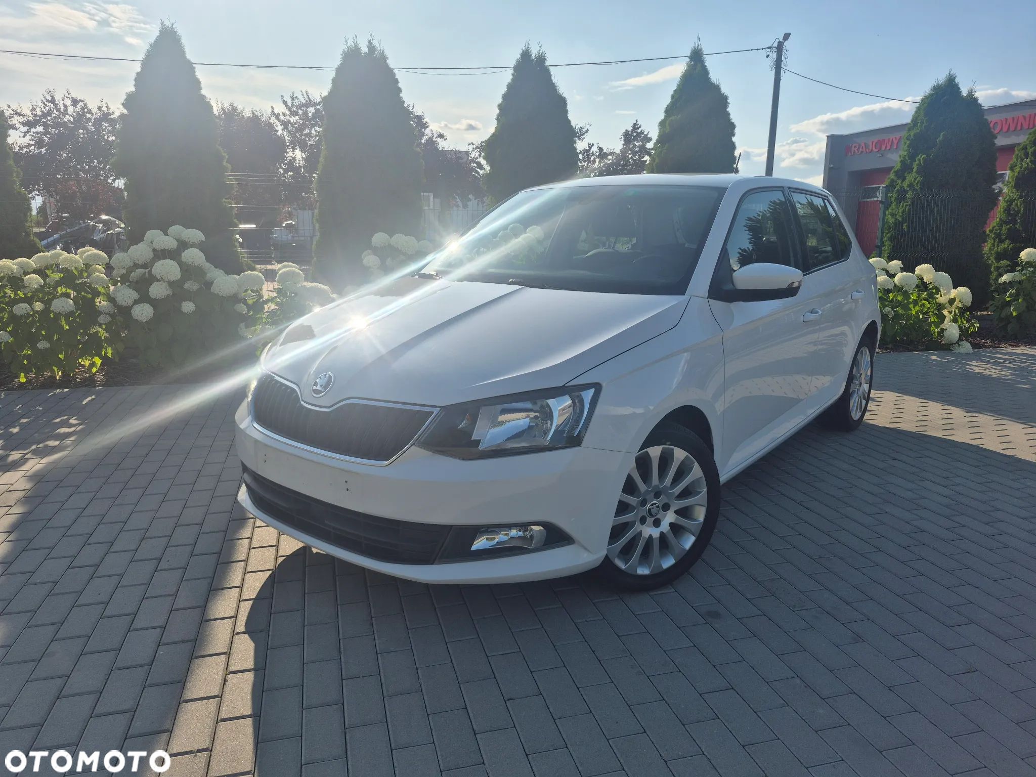 Skoda Fabia 1.4 TDI Edition DSG - 1