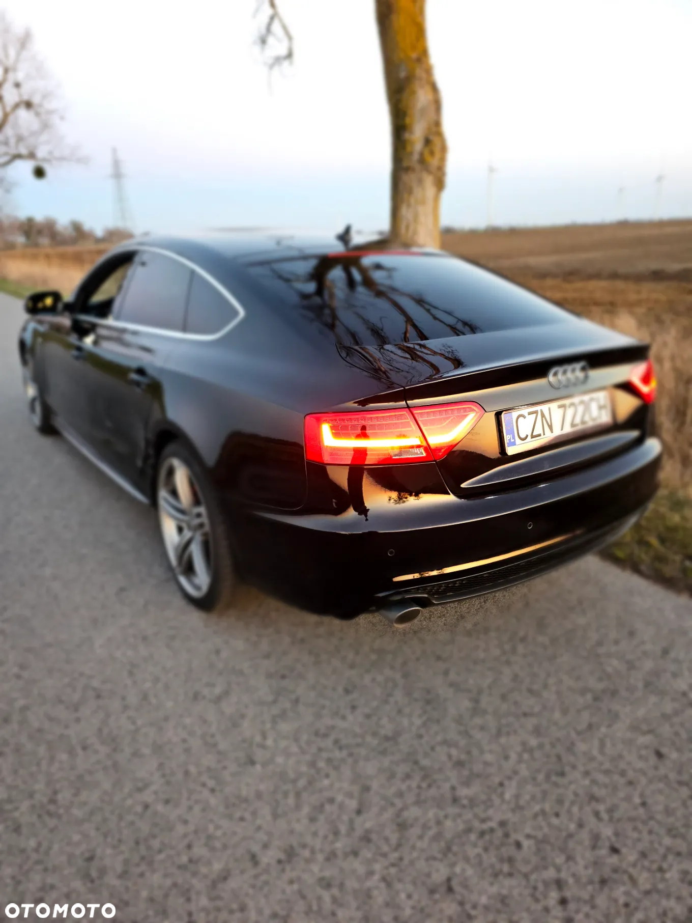 Audi A5 3.0 TDI Quattro S tronic - 4