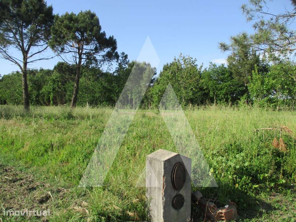 Terreno em Bustos - Grande imagem: 3/4