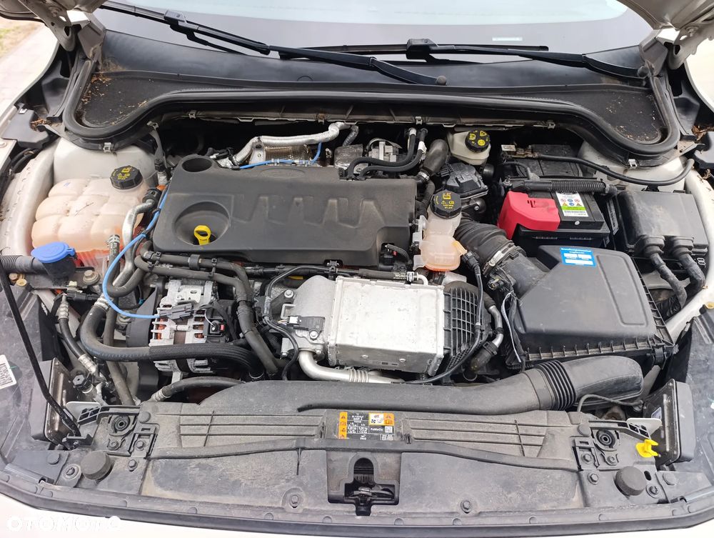 Ford Focus 2.0 EcoBlue Active - 25