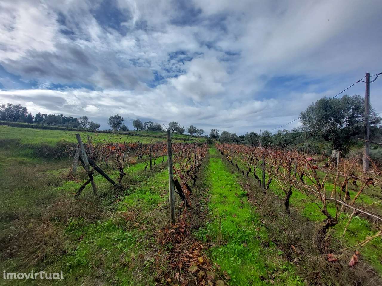 Terreno Rústico  Venda em Vila Nova de Tazem,Gouveia - Grande imagem: 3/11