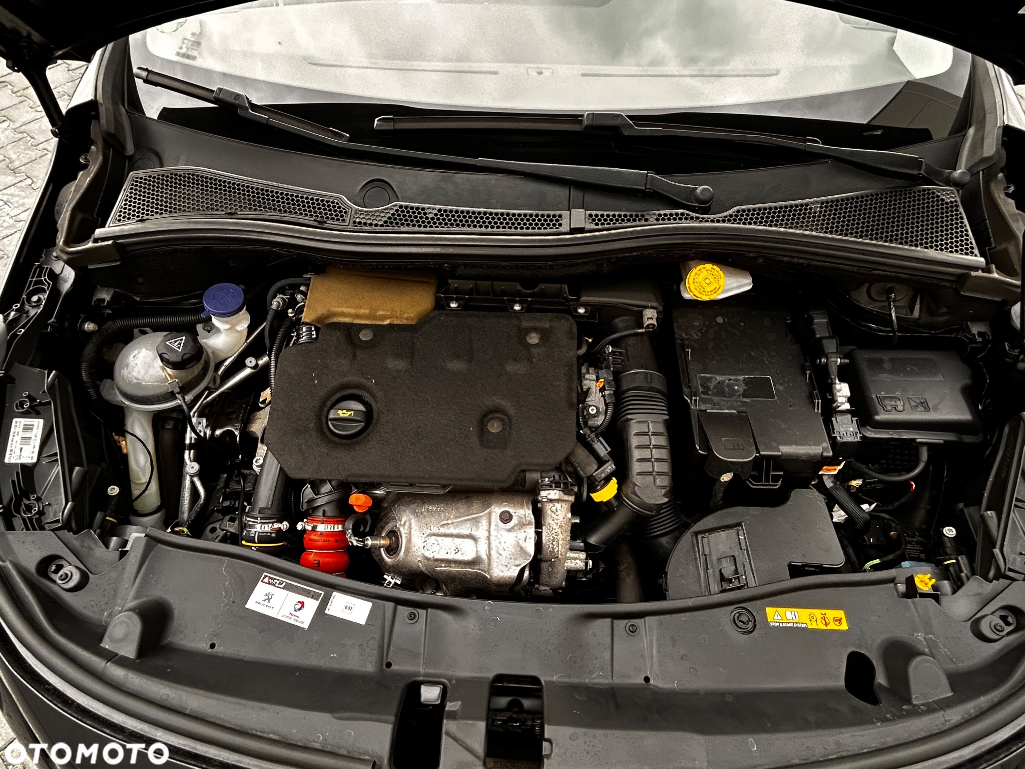 Peugeot 2008 BlueHDi FAP 120 STOP & START EAT6 Crossway - 39
