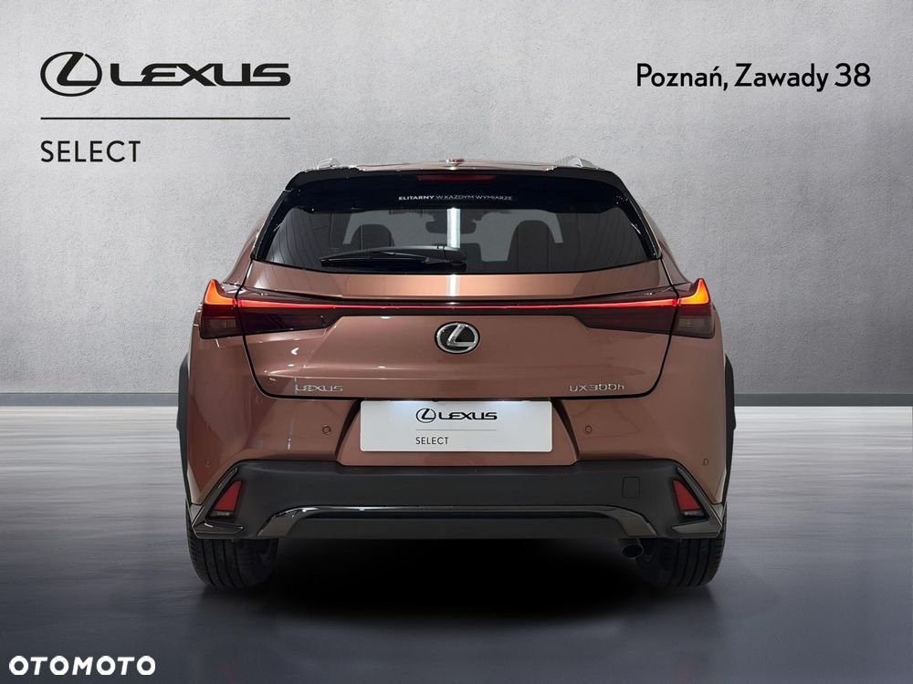 Lexus UX 300h F Sport Design - 7