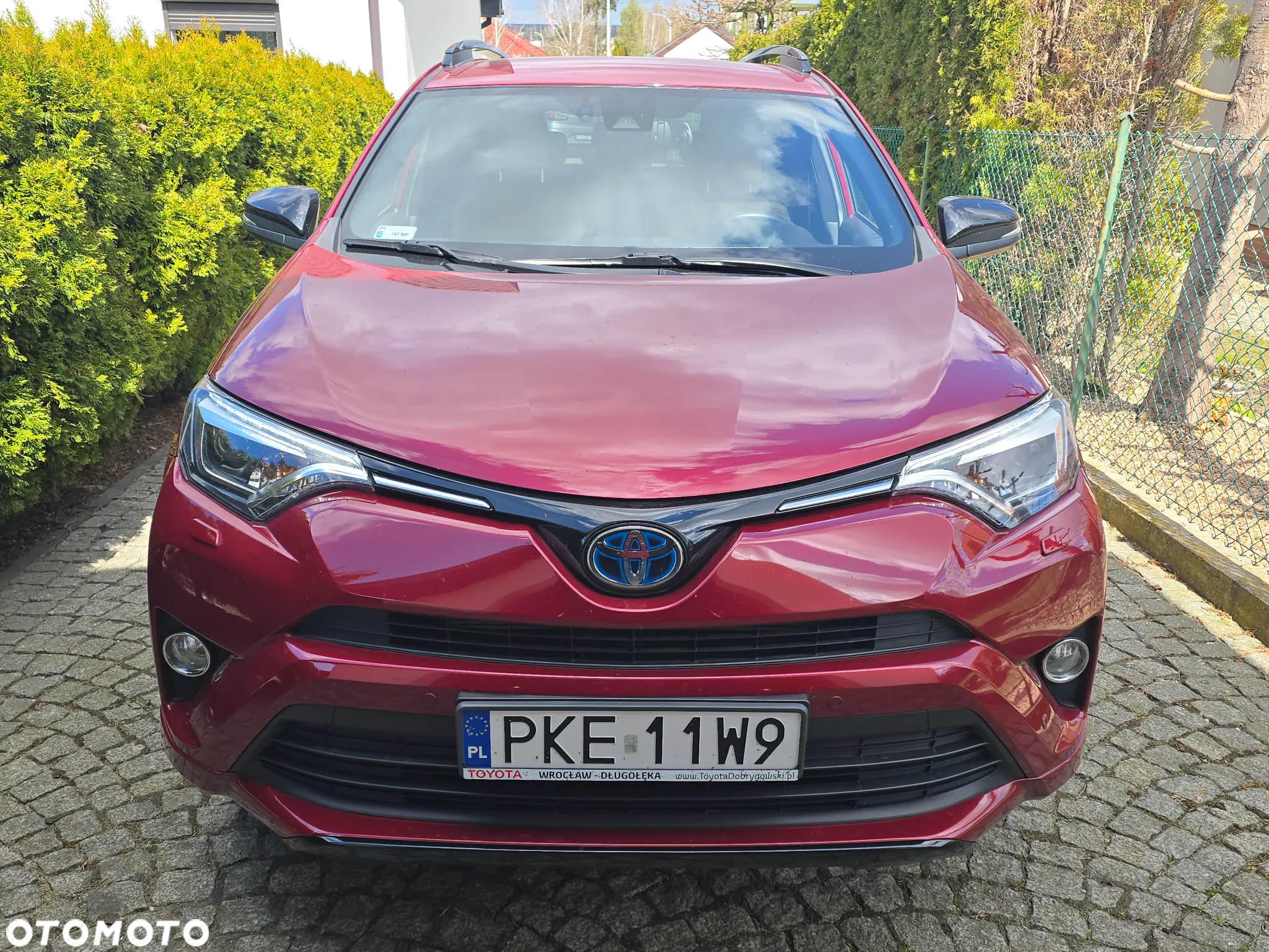 Toyota RAV4 Hybrid Selection 4x2 - 2