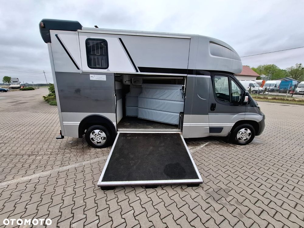 Peugeot BOXER 35, 2.0HDI / koniowóz Hagsted Horses - 9