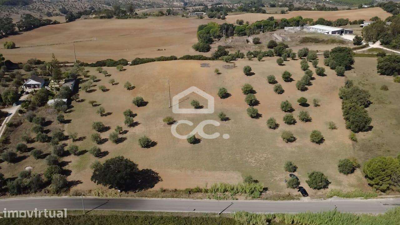 Terreno Rústico com 25.240 m² em Ferras, Gavata, Torres Novas – RAN - Grande imagem: 2/51