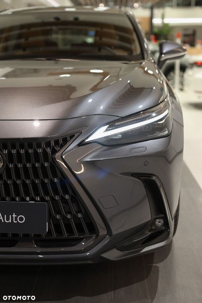 Lexus NX - 24