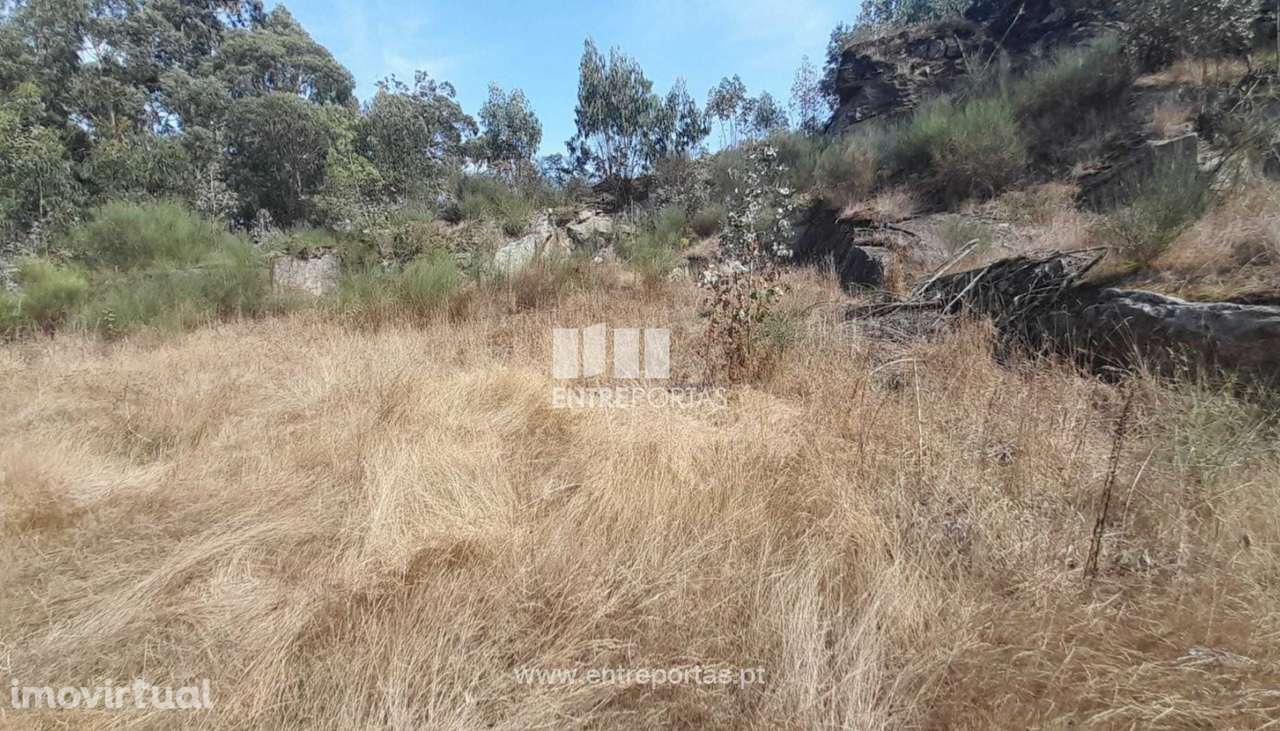 Venda de Terreno - Bouça, Vila Seca, Barcelos - Grande imagem: 5/10