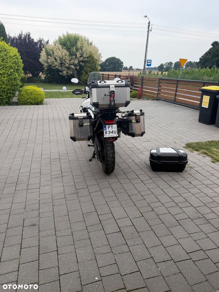 Triumph Tiger - 8