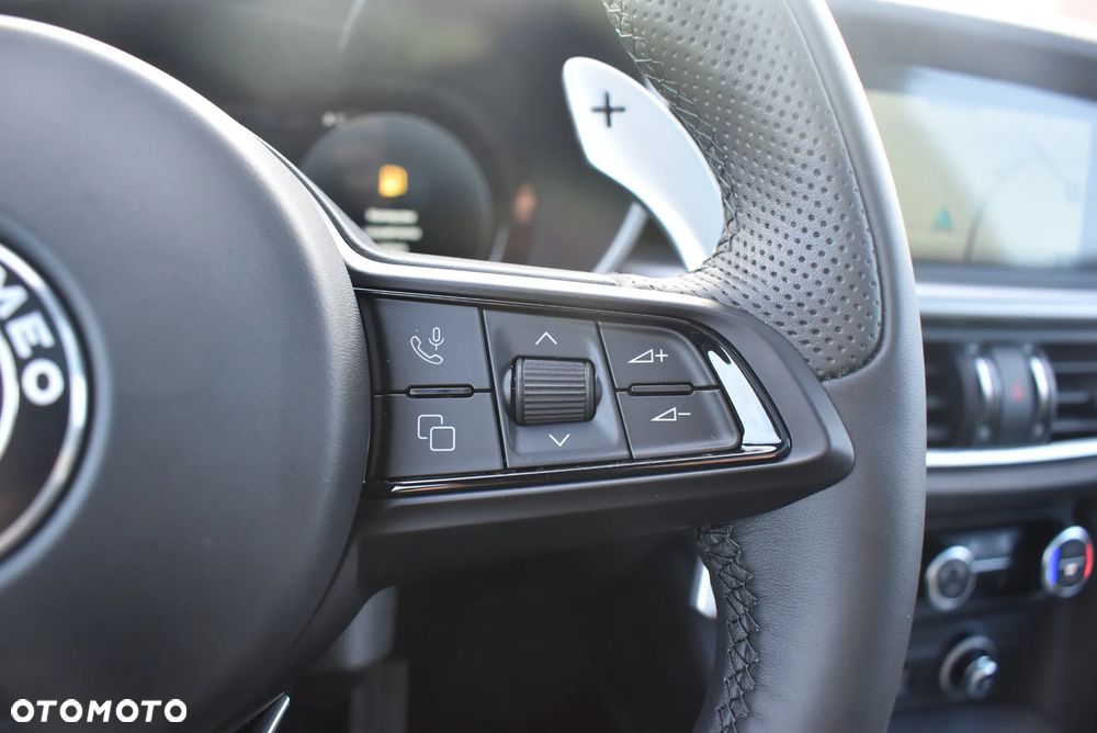 Alfa Romeo Stelvio 2.0 Turbo Veloce Q4 - 29