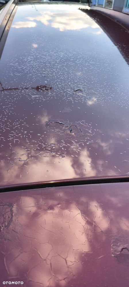 Seat Altea XL 1.6 Comfort Limited - 7