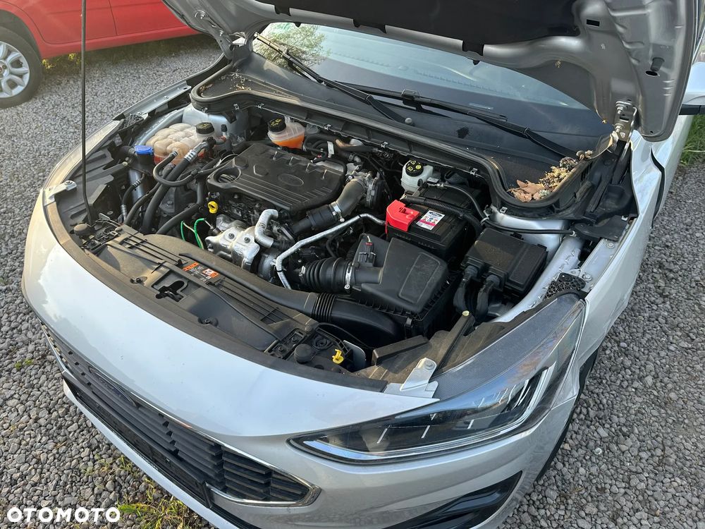 Ford Focus - 5