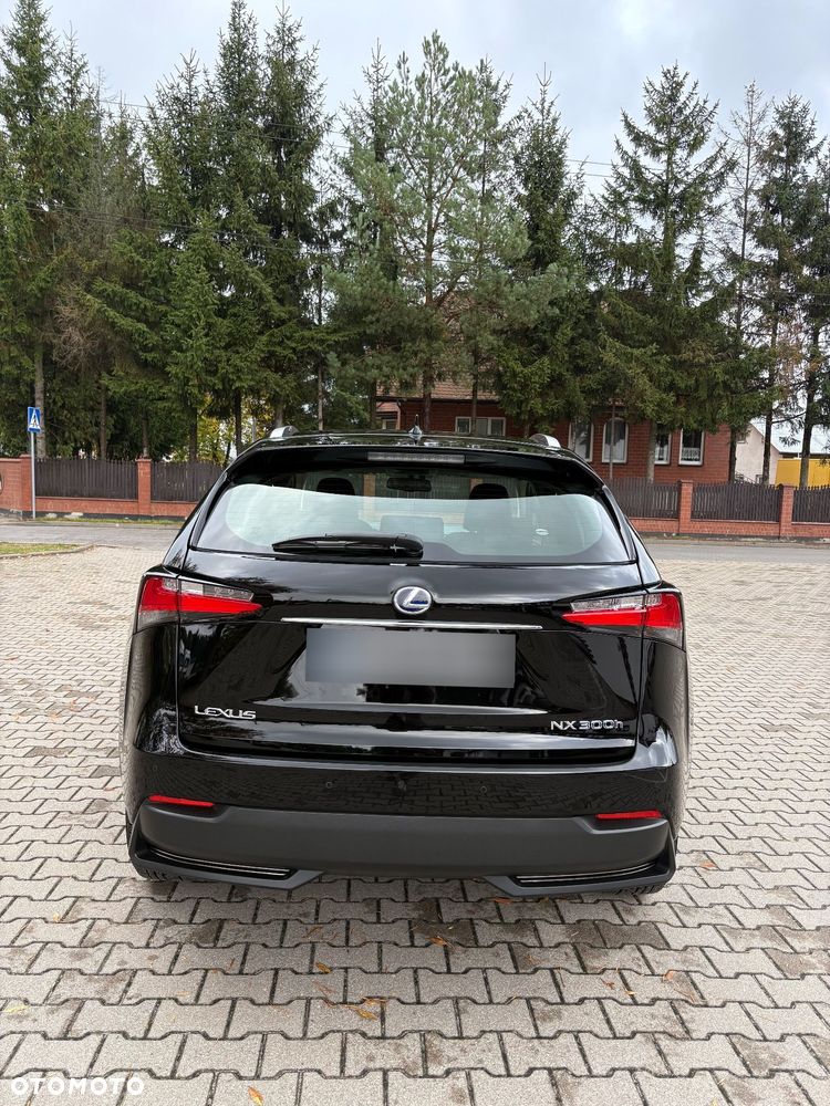 Lexus Nx 2016 photo 4