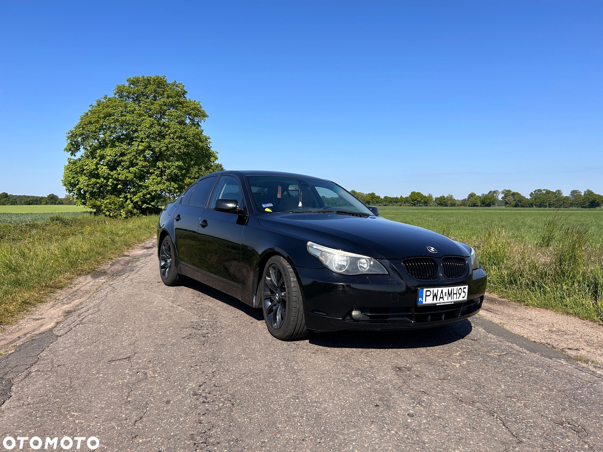 BMW Seria 5 - 2