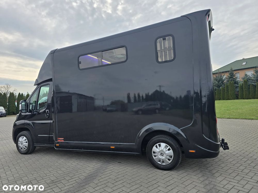 Peugeot Boxer-Koniowóz - 11