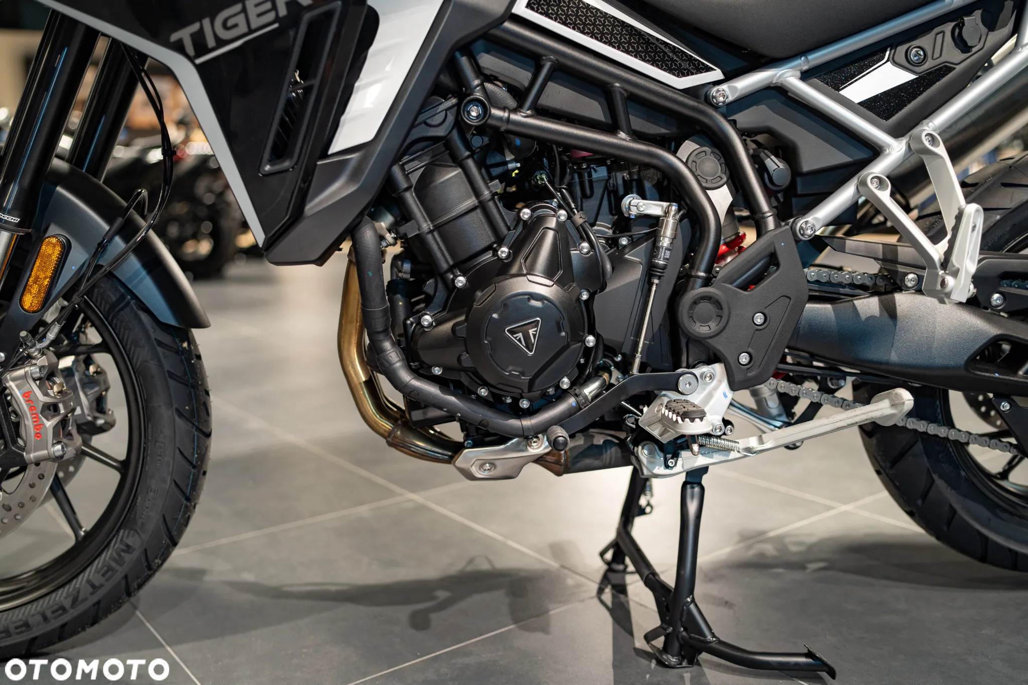 Triumph Tiger - 25