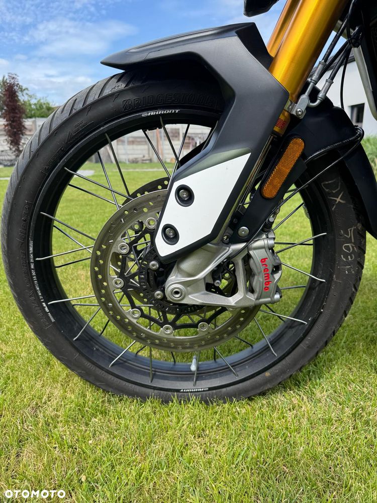 Triumph Tiger - 18