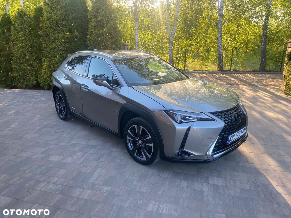 Lexus UX 250h GPF Business Edition 2WD - 2