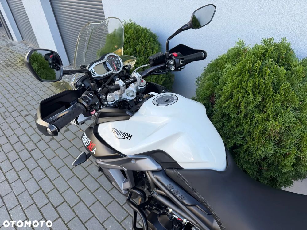 Triumph Tiger - 37