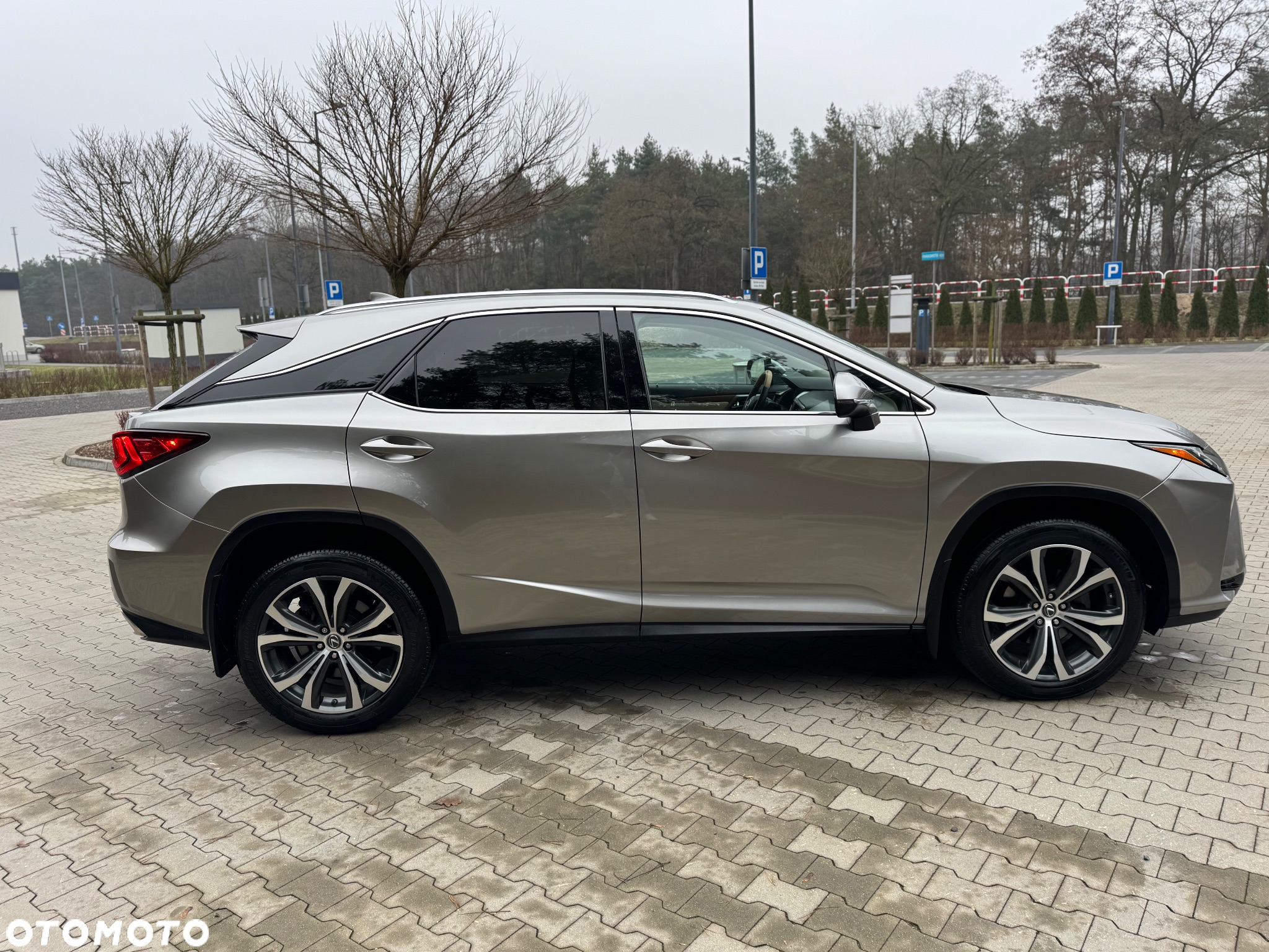 Lexus RX - 8