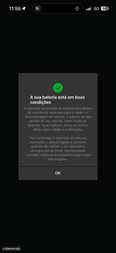 Tesla Model Y Tração Traseira - 13