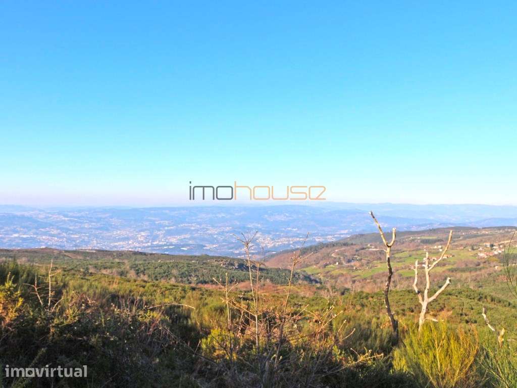 Terreno de 76 hectares - Grande imagem: 3/47