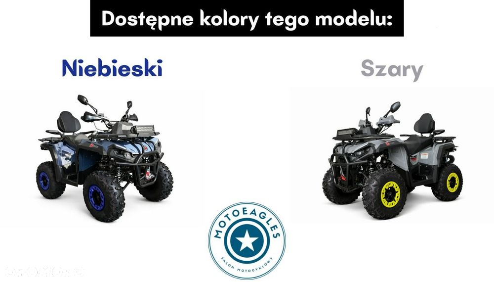 Diabolini Inny - 22