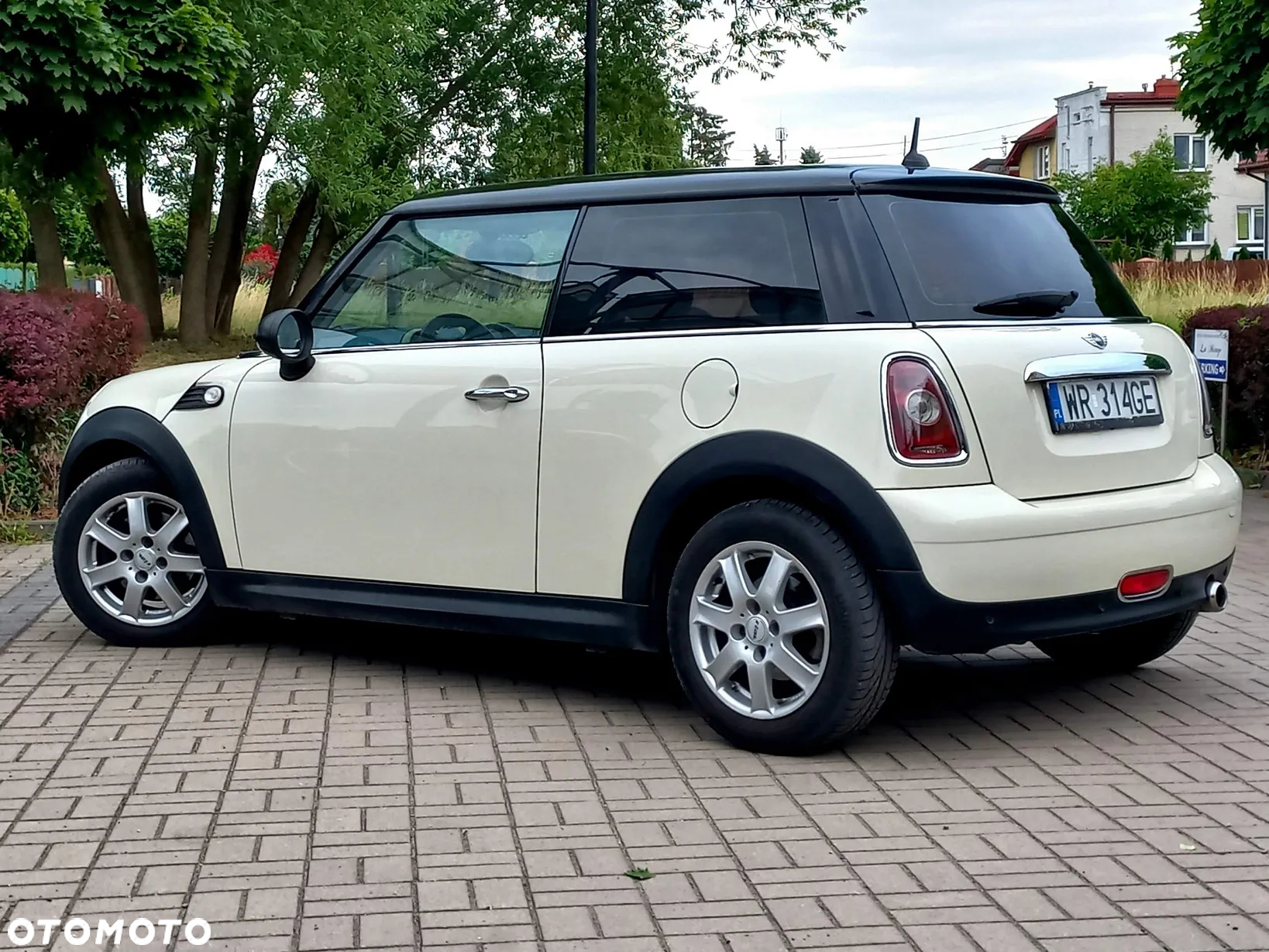 MINI ONE - 12