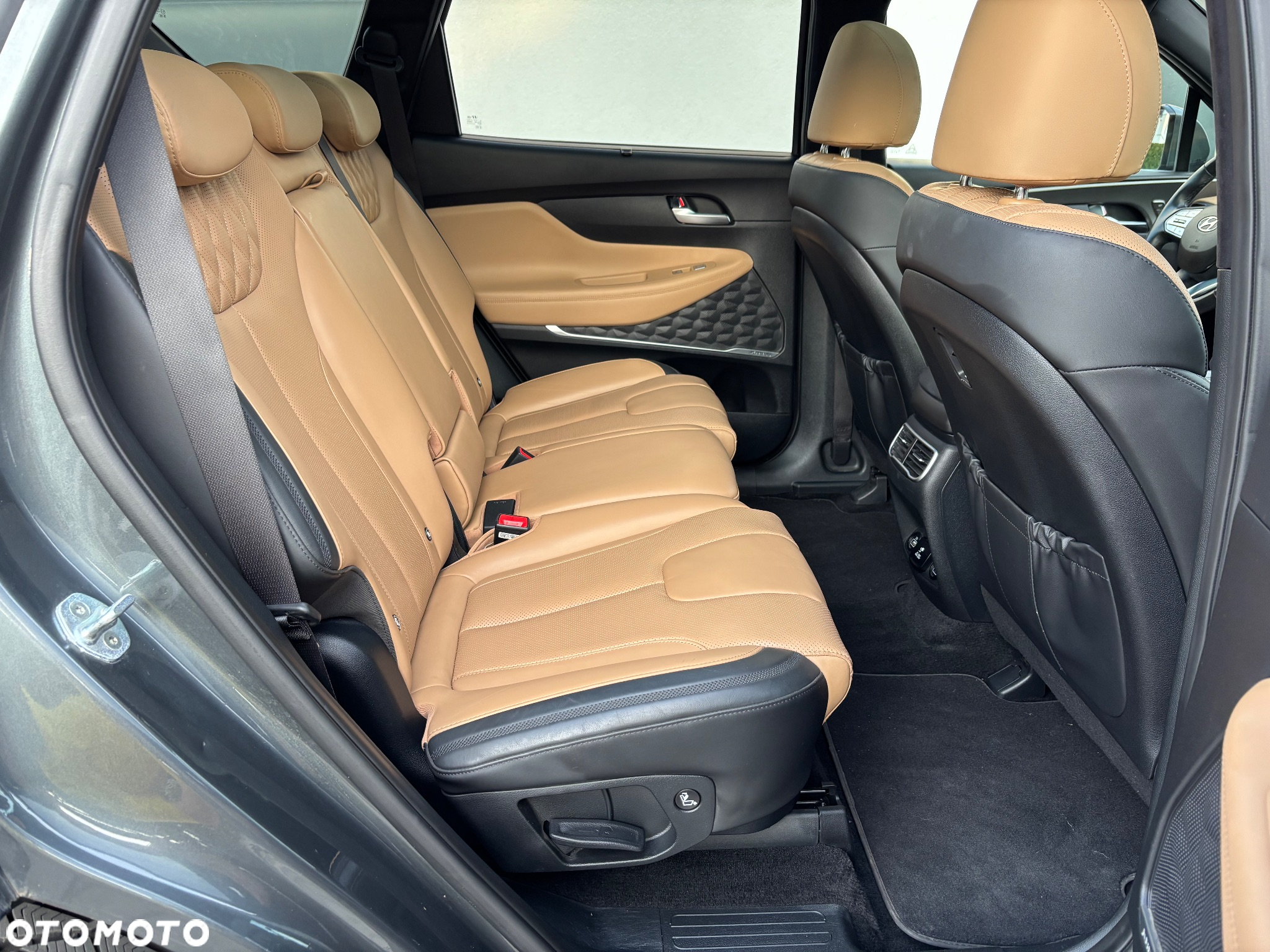Hyundai Santa Fe 1.6 T-GDI HEV Platinum 4WD - 29