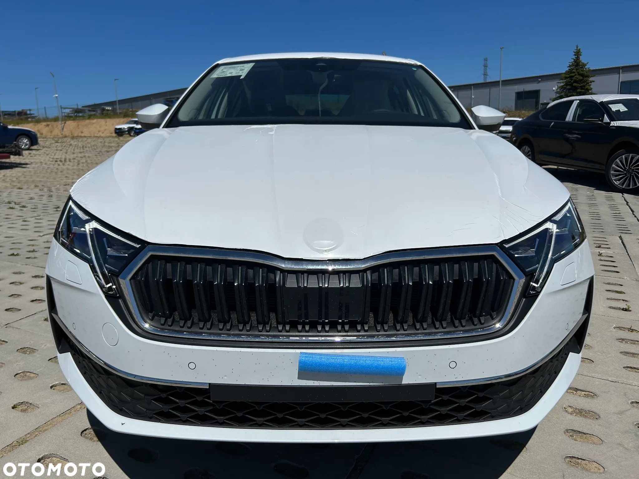 Skoda Octavia - 6