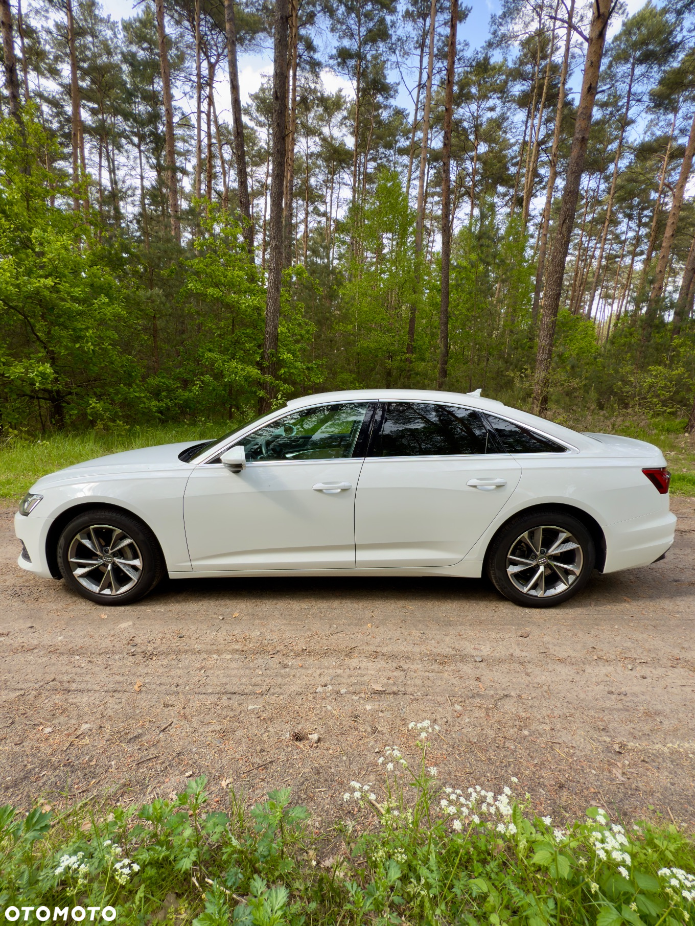 Audi A6 - 32