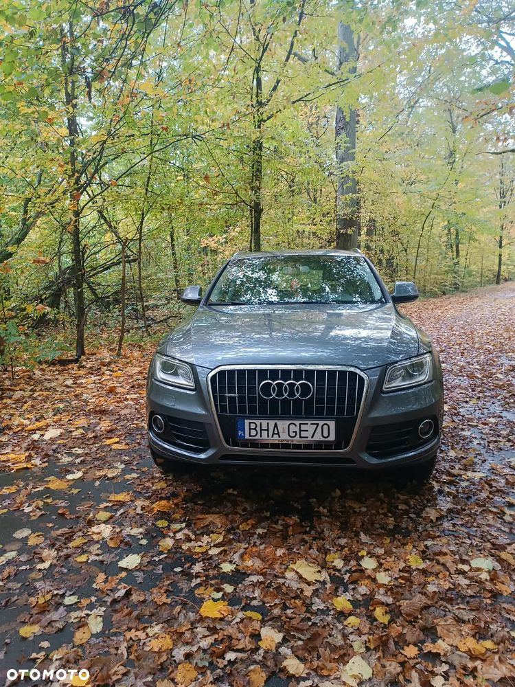 Audi Q5 2015 photo 3