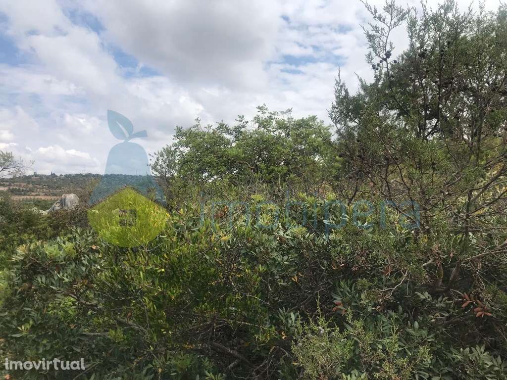 TERRENO RÚSTICO 4.980m2 EXCELENTE VISTA PANORÂMICA - Grande imagem: 3/14