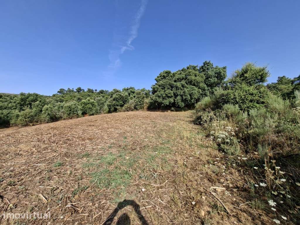 Terreno Agrícola - Telhado / Fundão - 50.000 m² (5 ha) - Grande imagem: 4/10