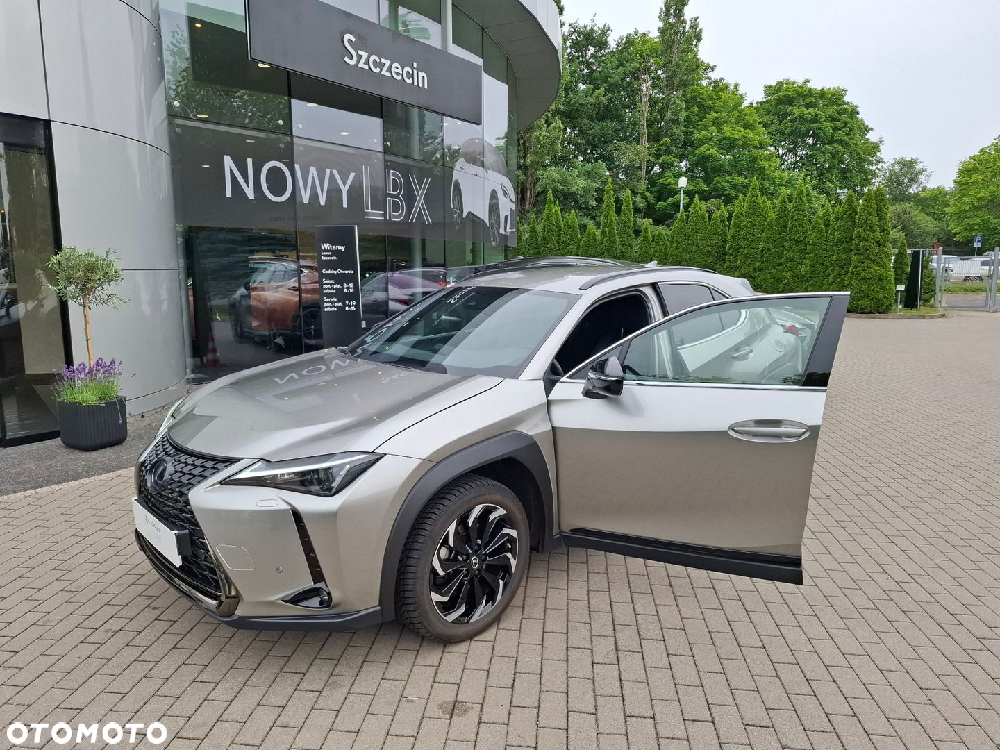 Lexus UX 250h GPF F Impression 2WD - 9