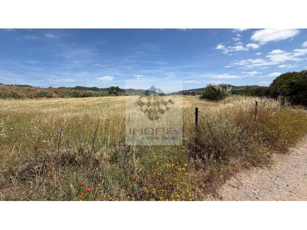Excelente Oportunidade de Investimento - Terreno com 1,25 Ha - Grande imagem: 3/11