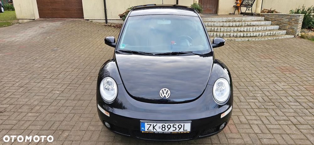 Volkswagen New Beetle - 19