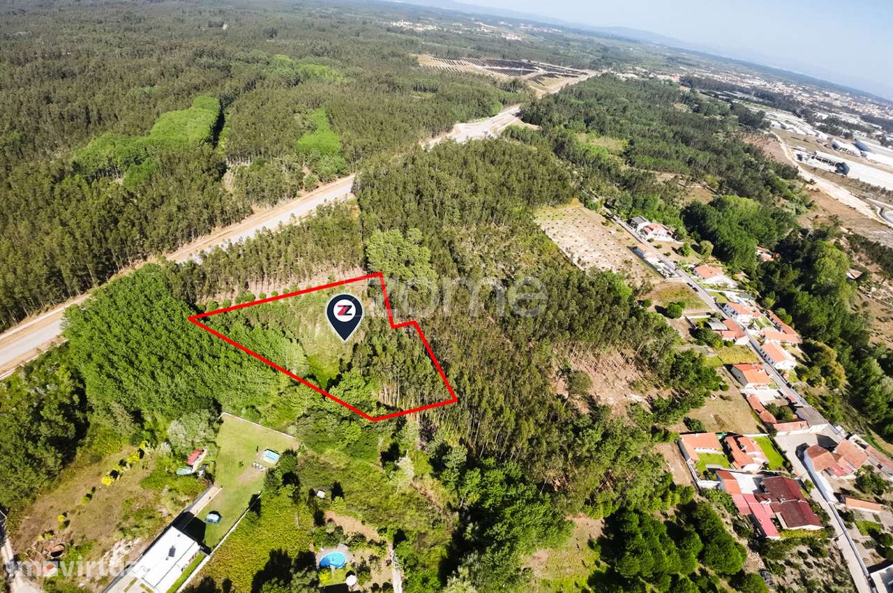 Terreno | 4.160m2 | Cantanhede | Oportunidade | - Grande imagem: 2/9