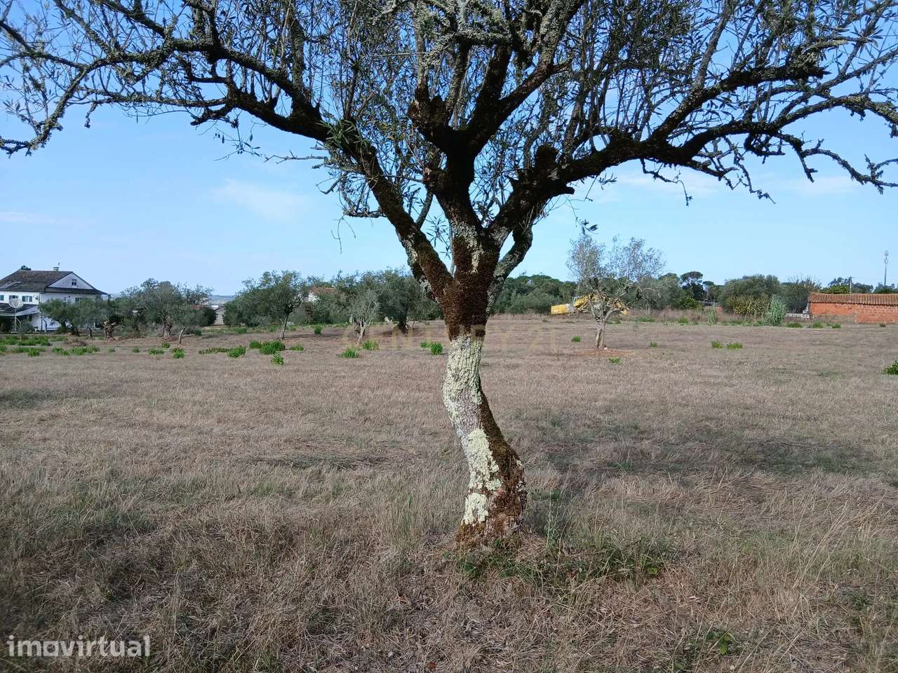 Terreno à venda em Soure, Coimbra - Vista Campo - Grande imagem: 5/17